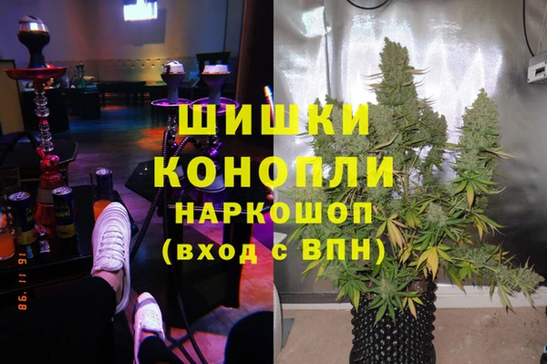 тгк Дмитров